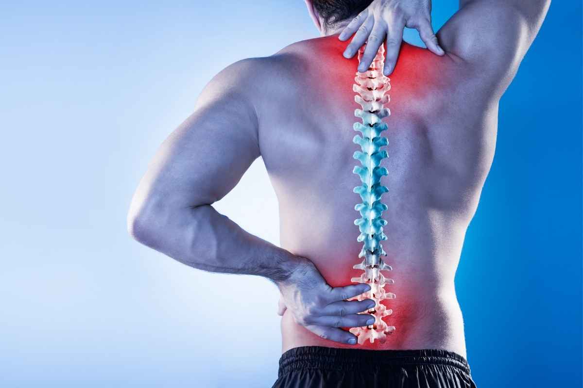 Best Neurosurgeon in Indore | Best Spine Surgeon In Indore | Best Neurologist in Indore