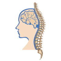 Samarth-Neurospine-Best Neurologist/ Neurosurgeon in Indore